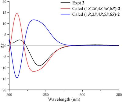 Curcumanes E and F, two rare sesquiterpenoids with a dicyclo[3.3.1]nonane moiety, from Curcuma longa and their vasorelaxant activities